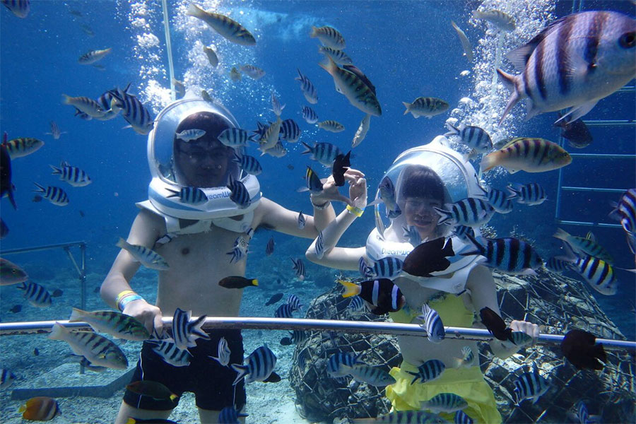 OCEAN WALKER