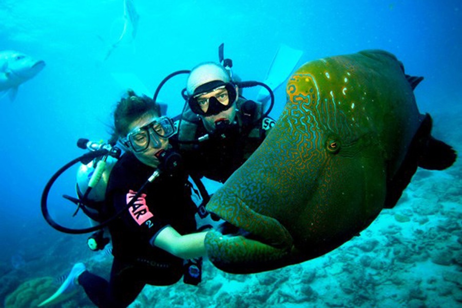 DIVING